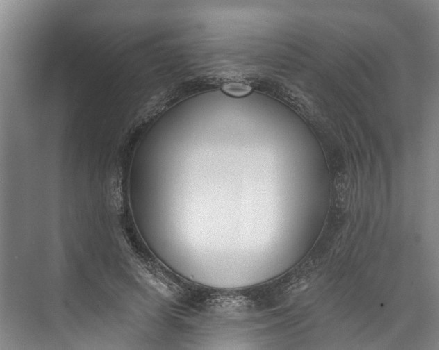 X0000072950642200608041309