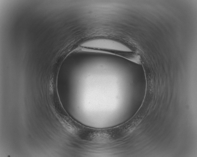 X0000072950644200608041309