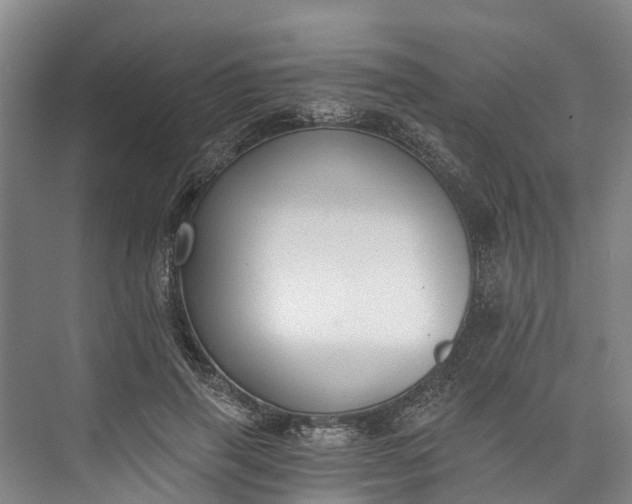 X0000072950645200608041309