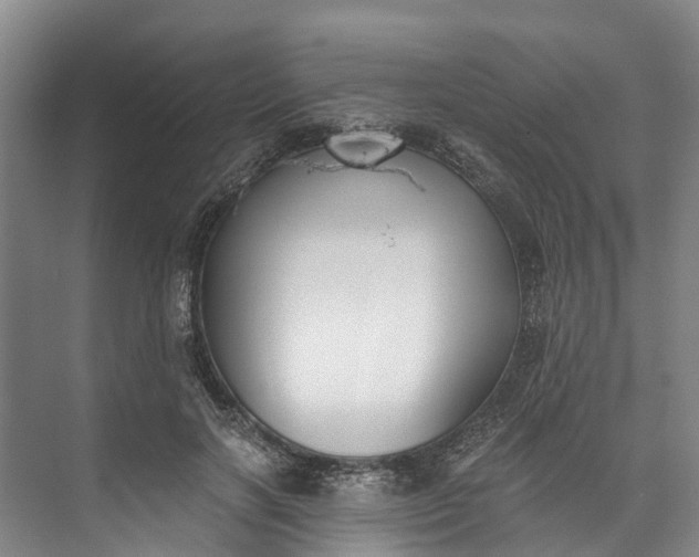 X0000072950646200608041309