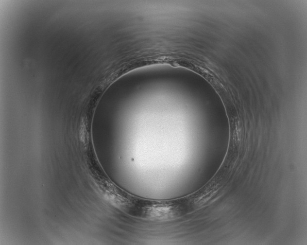 X0000072950651200608041309