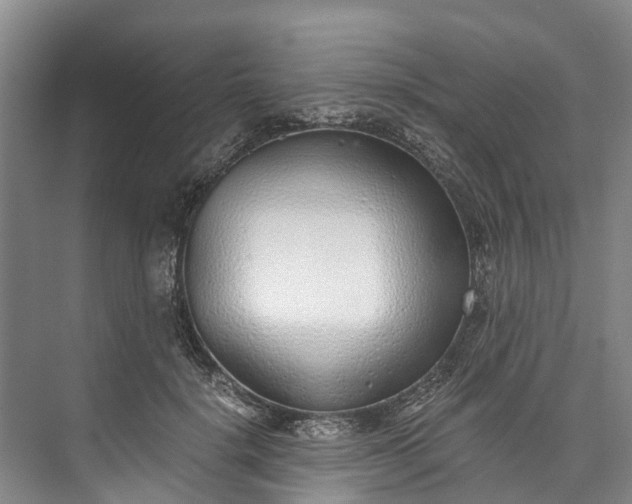 X0000072950652200608041309