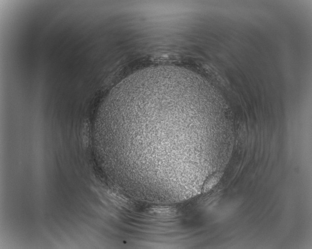 X0000072950659200608041309