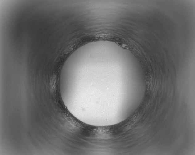 X0000072950660200608041309