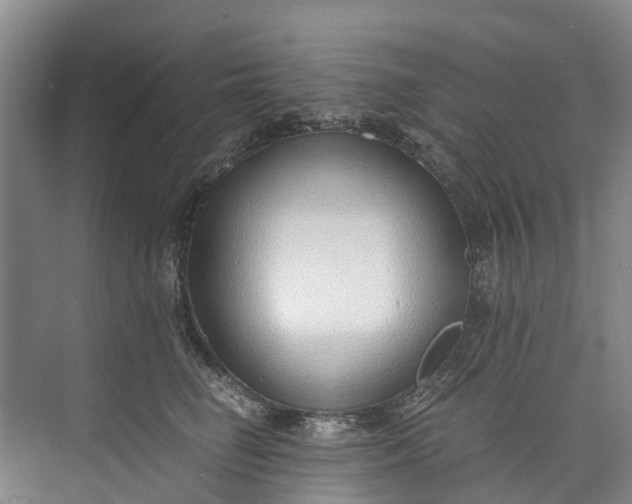 X0000072950662200608041309