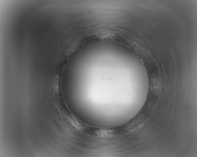 X0000072950664200608041309