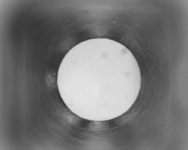 X0000072950672200608041309