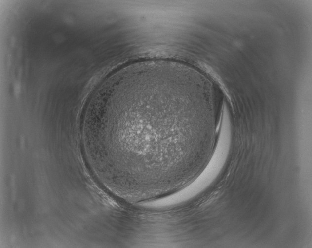 X0000072950673200608041308