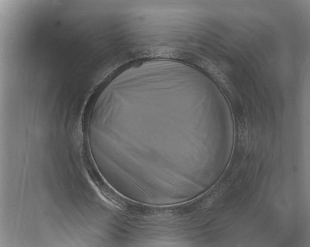 X0000072950674200608041308