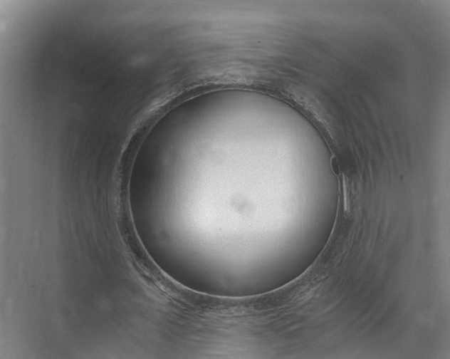 X0000072950675200608041308