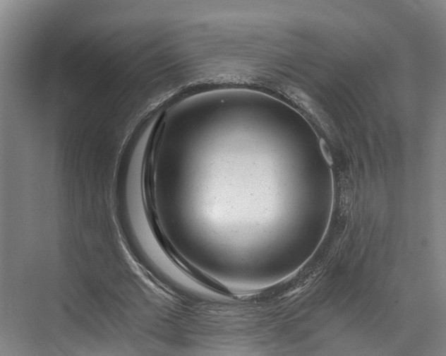 X0000072950677200608041308