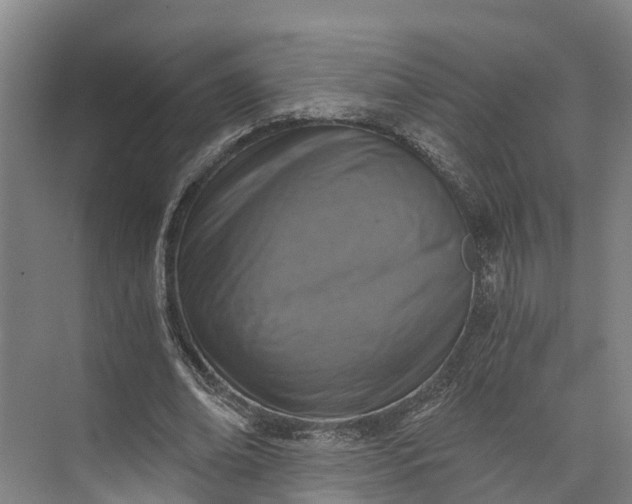 X0000072950678200608041308