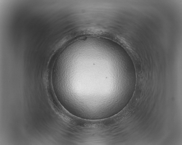 X0000072950679200608041308