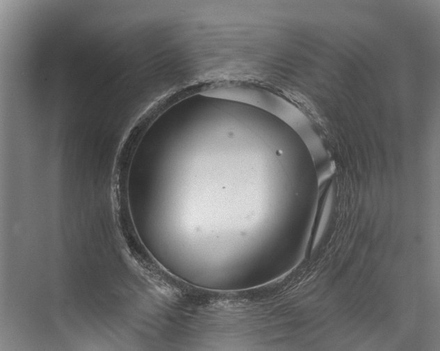 X0000072950680200608041308