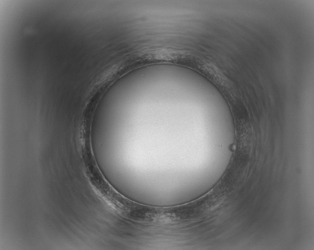 X0000072950683200608041308