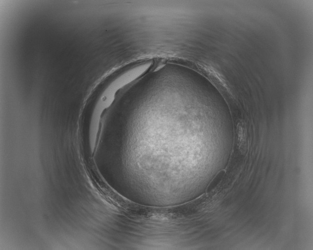 X0000072950684200608041308