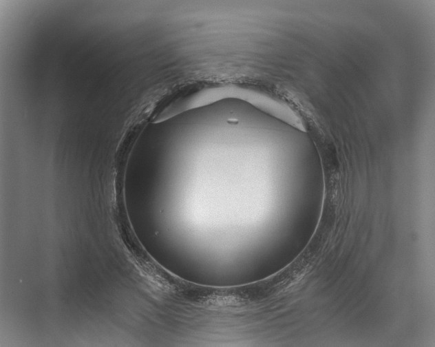 X0000072950685200608041308