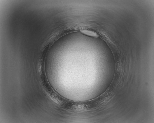 X0000072950687200608041308