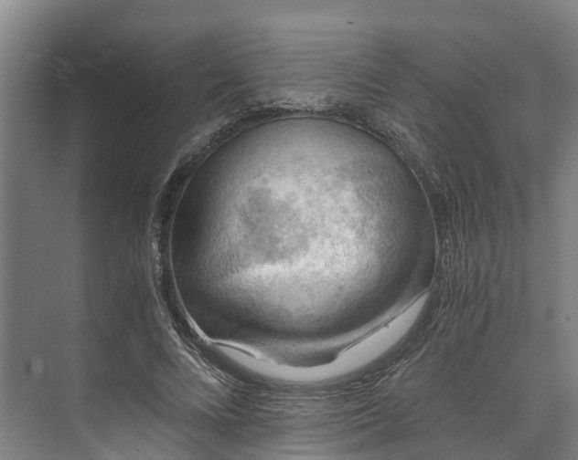 X0000072950688200608041308