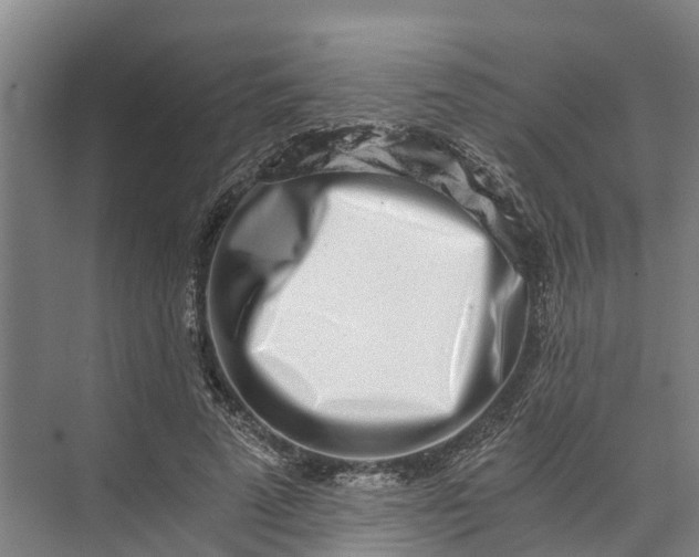 X0000072950689200608041308