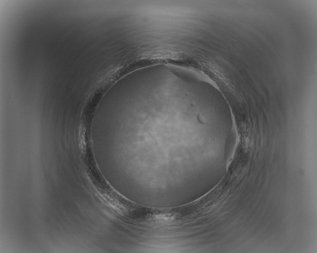 X0000072950692200608041308