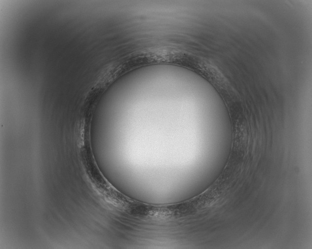 X0000072950694200608041308