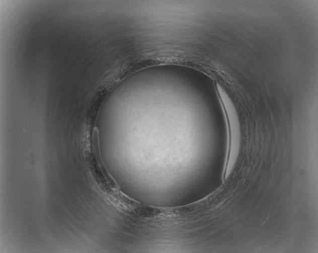 X0000072950696200608041308