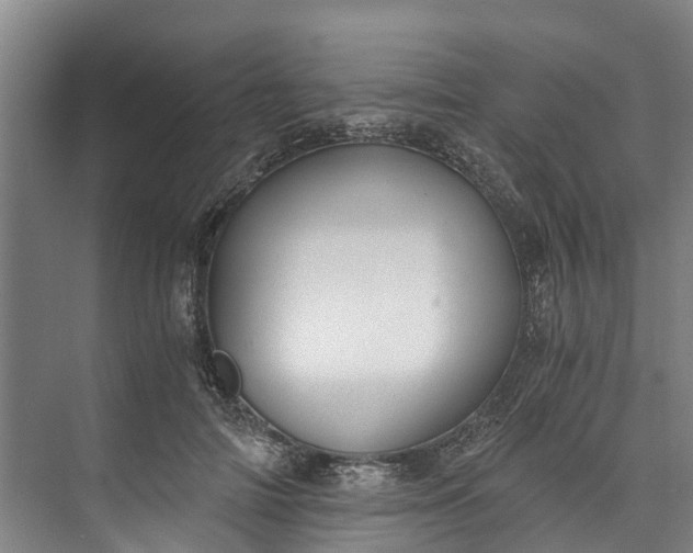 X0000072950698200608041308