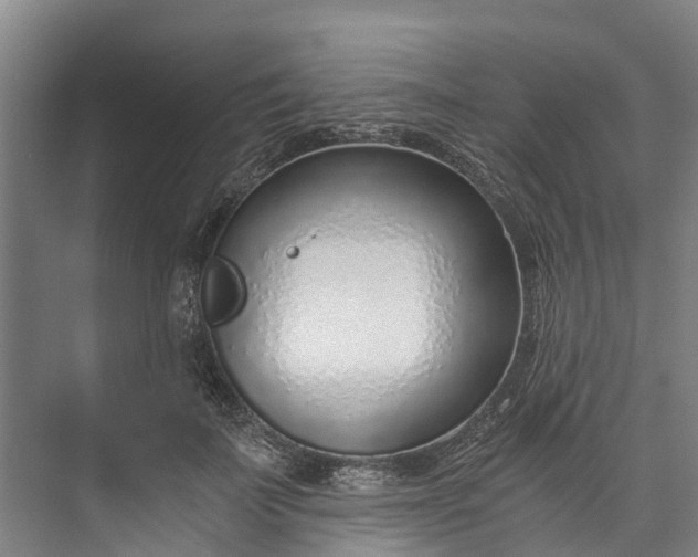 X0000072950699200608041308