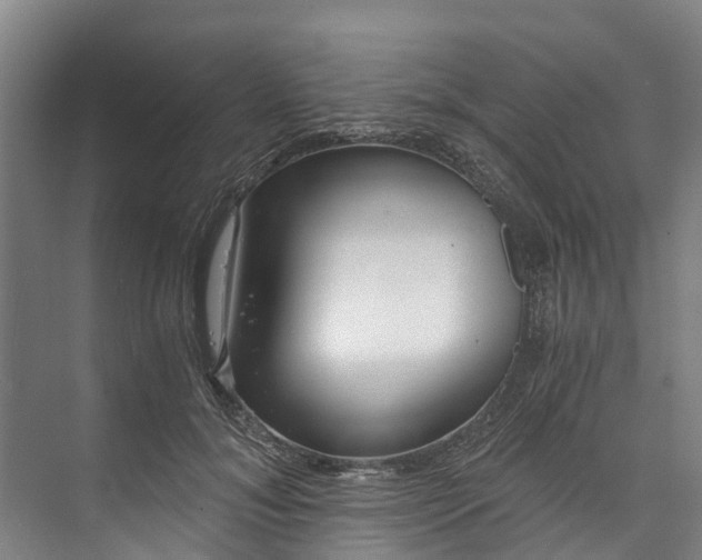 X0000072950700200608041308