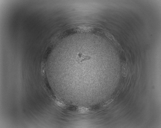 X0000072950701200608041308