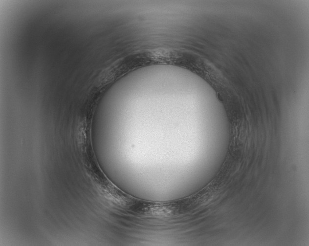 X0000072950702200608041308