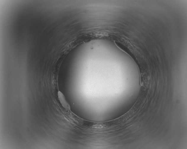 X0000072950704200608041308