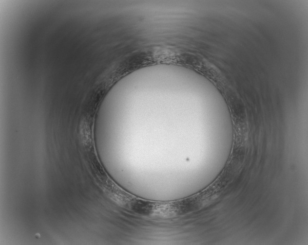 X0000072950705200608041308