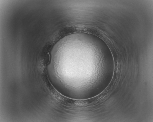 X0000072950707200608041308