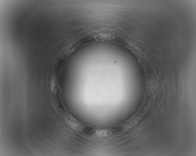 X0000072950709200608041308