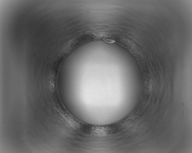 X0000072950710200608041308