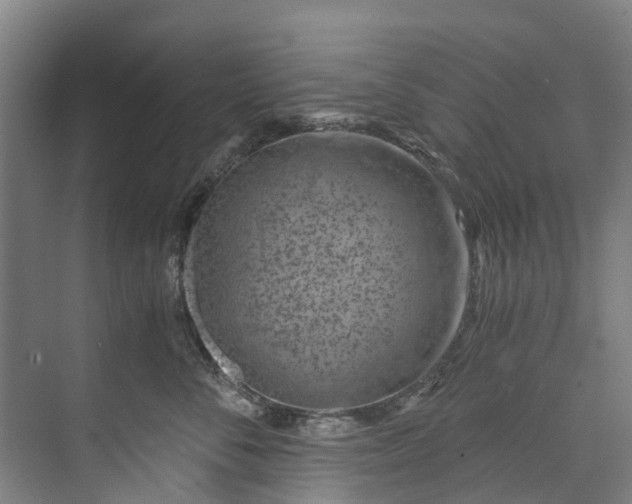 X0000072950716200608041308