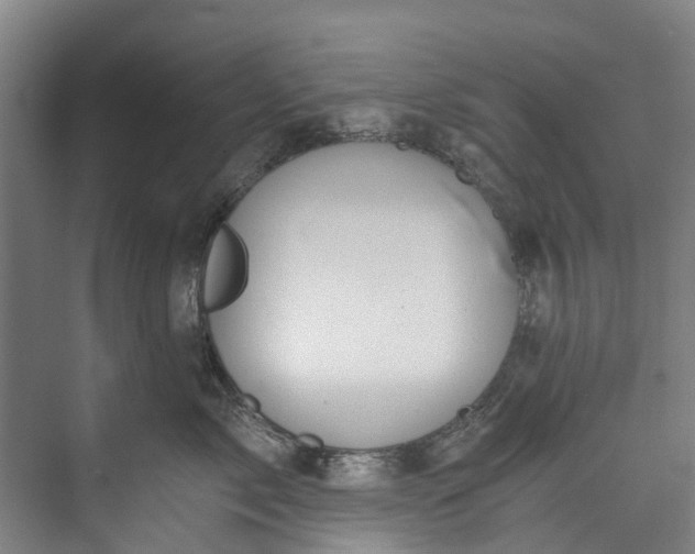 X0000072950717200608041308