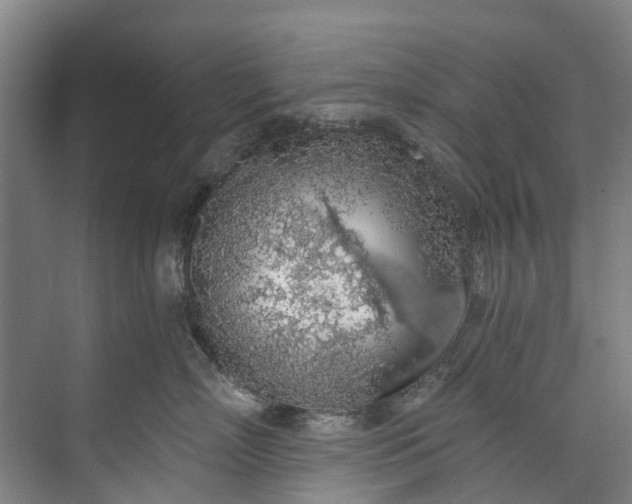 X0000072950718200608041307