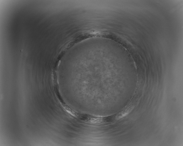 X0000072950720200608041307