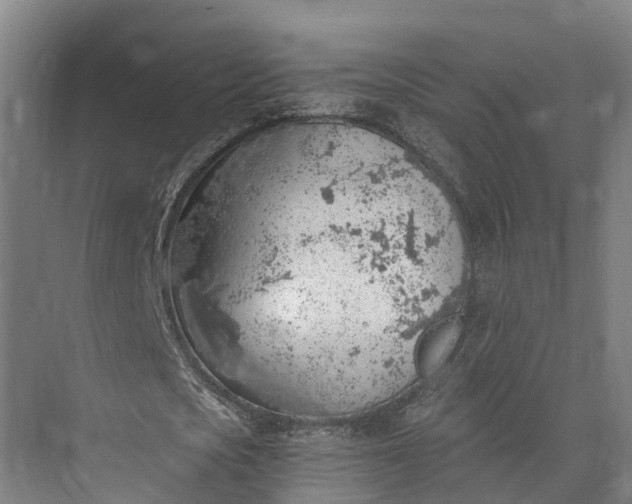 X0000072950721200608041307