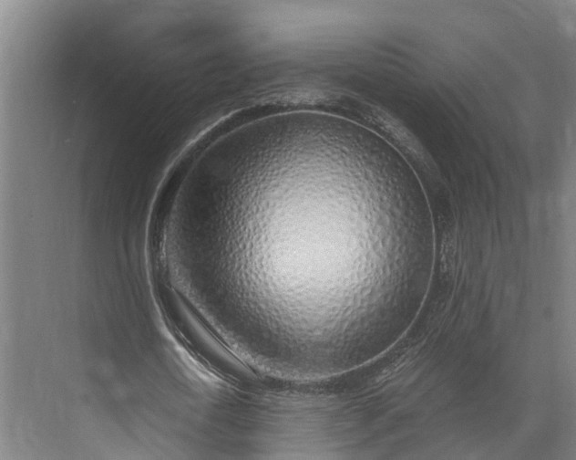 X0000072950722200608041307