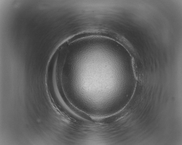 X0000072950724200608041307