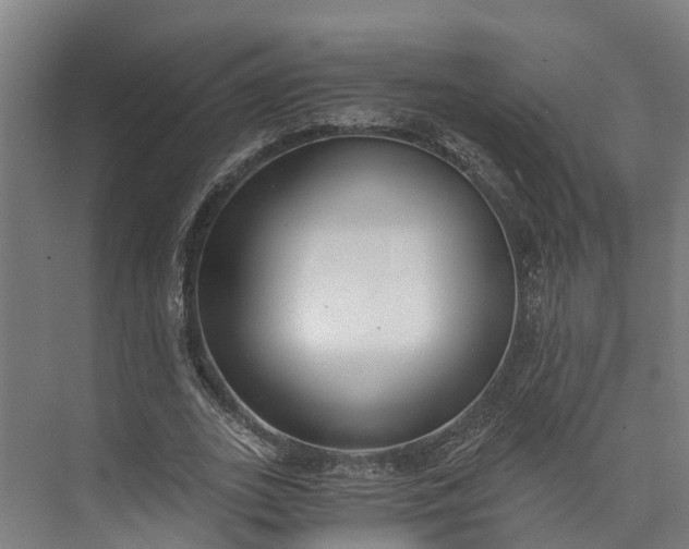 X0000072950727200608041307