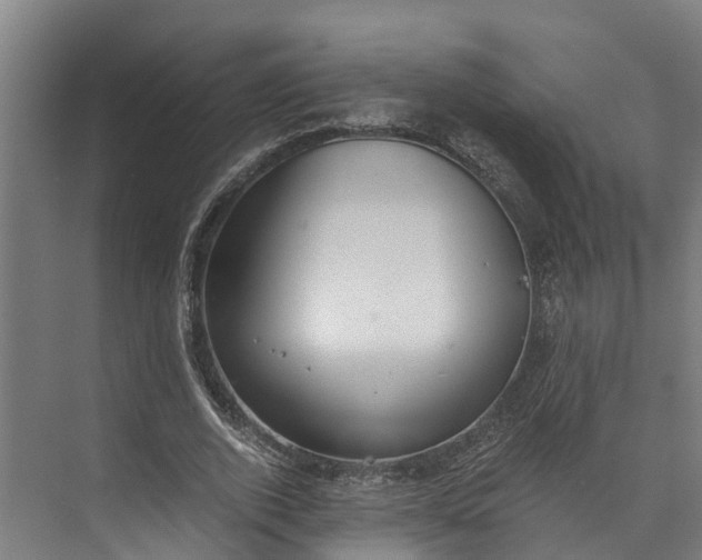 X0000072950728200608041307