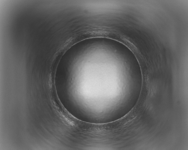 X0000072950729200608041307