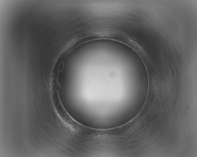 X0000072950730200608041307