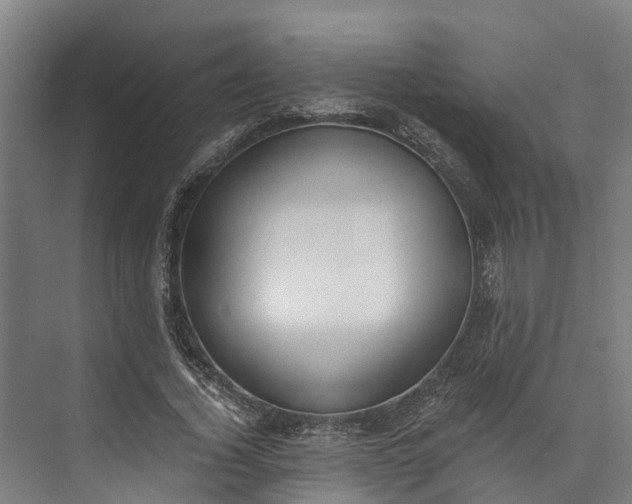 X0000072950732200608041307