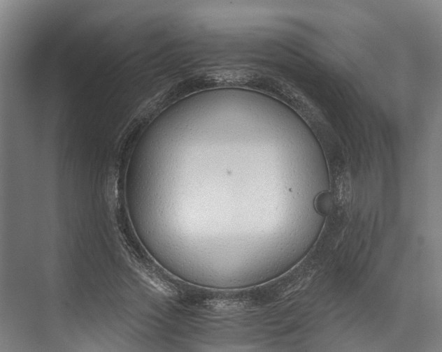 X0000072950733200608041307